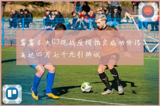 霉霉东决G3观战座椅拍卖成功价格高达四万七千元引热议